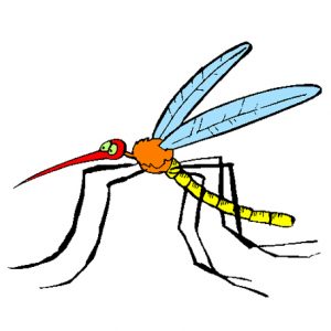 zanzara